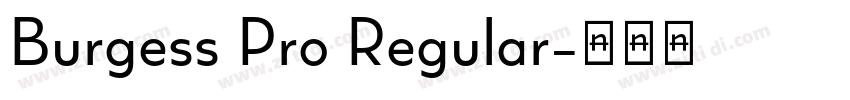 Burgess Pro Regular字体转换